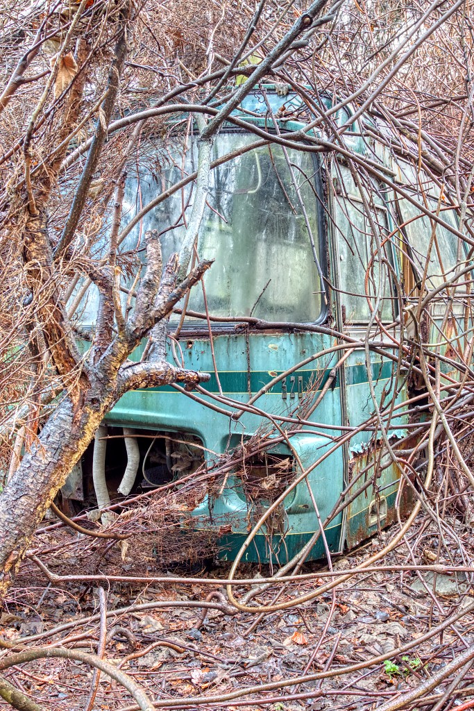 HDR urbex Lost in the Woods lada 1300 opel kadett trash fitou oldtimer youngtimer bus morgon tractor olielamp vuldop Airco generator belgie